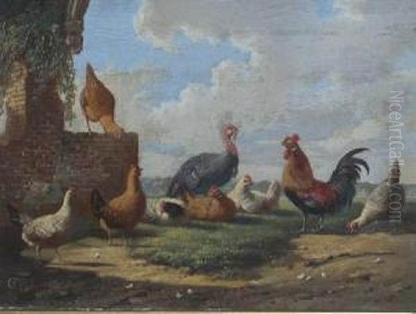 Turkey And Other Fowl Oil Painting by Albertus Verhoesen