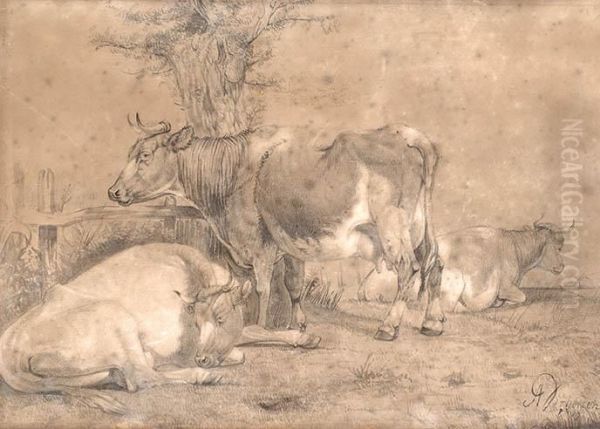 Cows Oil Painting by Albertus Verhoesen