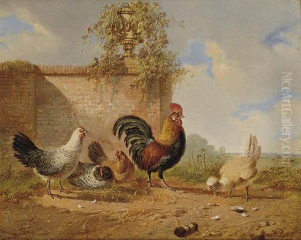 A Rooster And His Chicken Oil Painting by Albertus Verhoesen