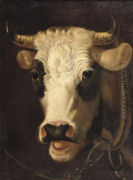 The Bull Oil Painting by Albertus Verhoesen