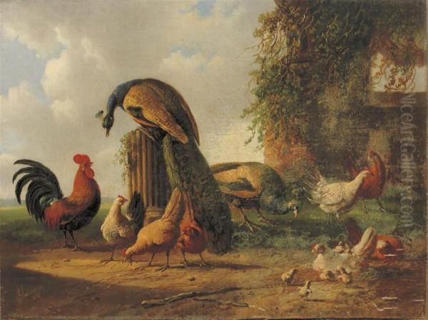 Poultry Near A Ruin Oil Painting by Albertus Verhoesen