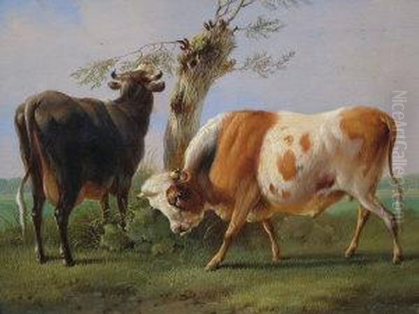 A Bull And A Cow In A Paddock And Feeding From Atree Oil Painting by Albertus Verhoesen