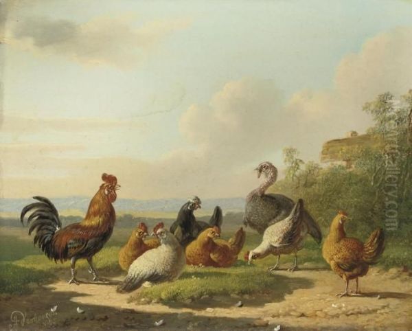 A Rooster, Hens And A Turkey Oil Painting by Albertus Verhoesen