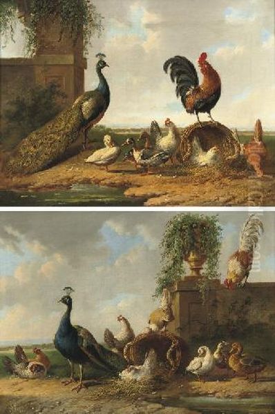 Poultry By A Ruin Oil Painting by Albertus Verhoesen