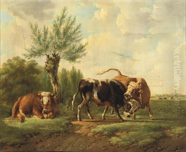 Fighting Bulls Oil Painting by Albertus Verhoesen