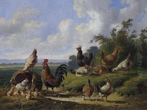 Poultry. Signed And Dated Centre Bottom: A. Verhoesen 18 Oil Painting by Albertus Verhoesen