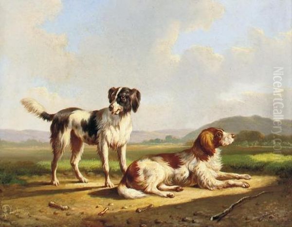 Two Hunting Dogs In A Summer Landscape Oil Painting by Albertus Verhoesen