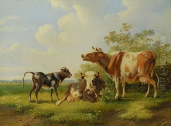 Kuhe Und Kalb Oil Painting by Albertus Verhoesen