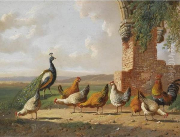 Chickens In A Yard Oil Painting by Albertus Verhoesen