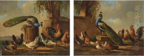 A Peacock With Poultry In A Landscape; Poultry In Classical Surroundings Oil Painting by Albertus Verhoesen