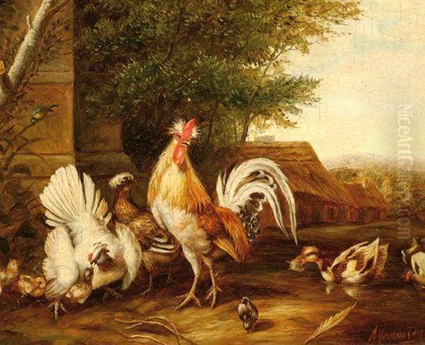 Poultry With Chicks Oil Painting by Albertus Verhoesen