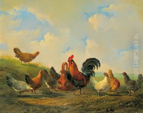 Gallo Fiero Con Le Sue Galline Oil Painting by Albertus Verhoesen