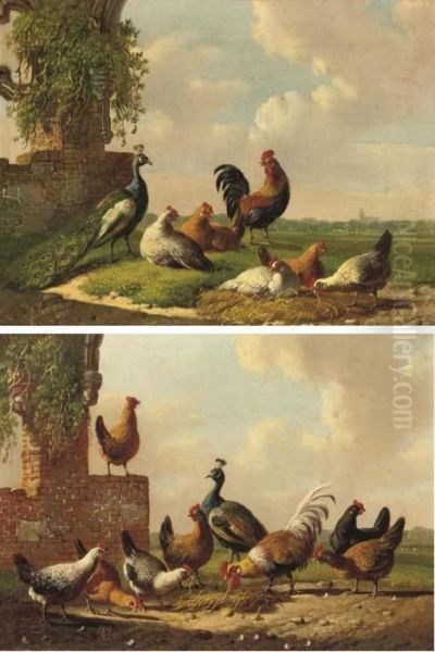 Poultry By A Ruin Oil Painting by Albertus Verhoesen