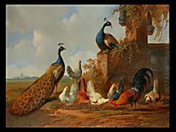 Zwei Pfauen Sowie Huhner Und Hahn Vor Landschaft Undruinenarchitektur Oil Painting by Albertus Verhoesen