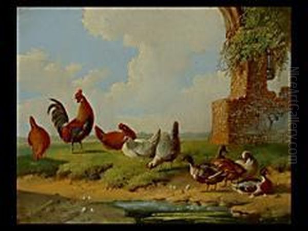 Huhner Und Enten Am Weiher Oil Painting by Albertus Verhoesen