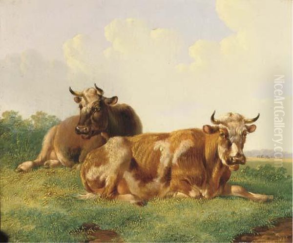 Cattle In A Sunny Meadow Oil Painting by Albertus Verhoesen