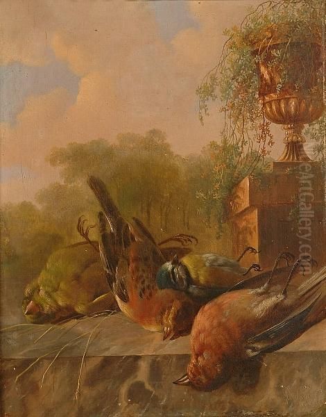 Still Life Of Birds, With An Urn In The Background. Oil Painting by Albertus Verhoesen