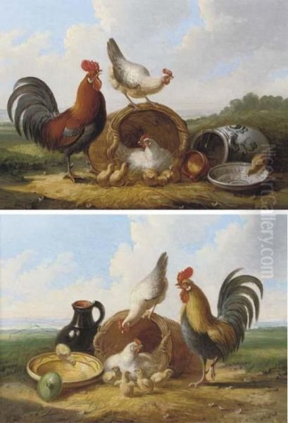 Poultry In An Extensive Landscape Oil Painting by Albertus Verhoesen