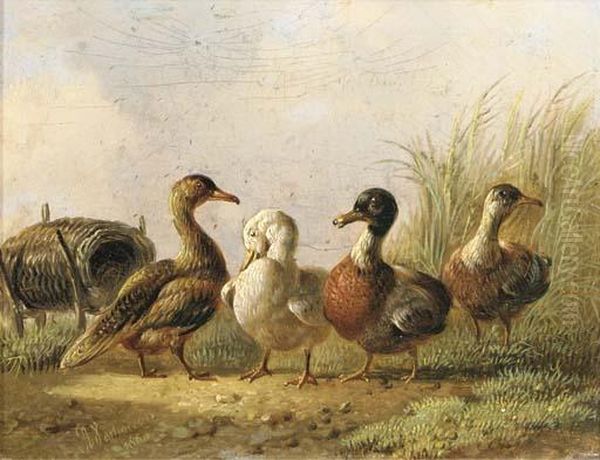 Ducks Oil Painting by Albertus Verhoesen