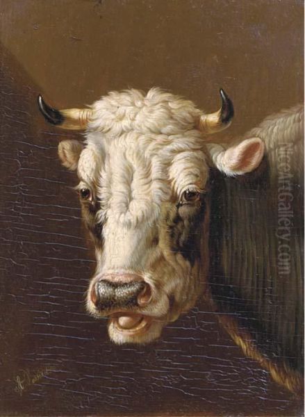 A Cow's Head Oil Painting by Albertus Verhoesen