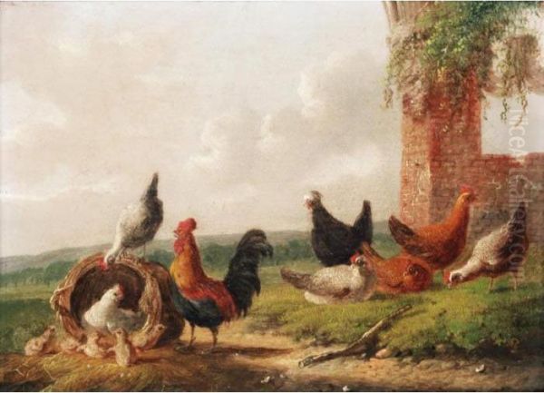 Cockerel And Chickens; Peacock, Cockerel And Chickens Oil Painting by Albertus Verhoesen