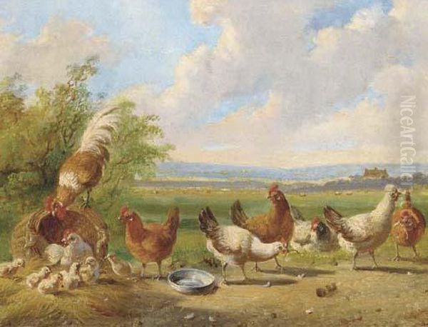 Poultry In A Landscape Oil Painting by Albertus Verhoesen