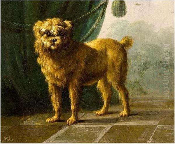 A Dog Oil Painting by Albertus Verhoesen