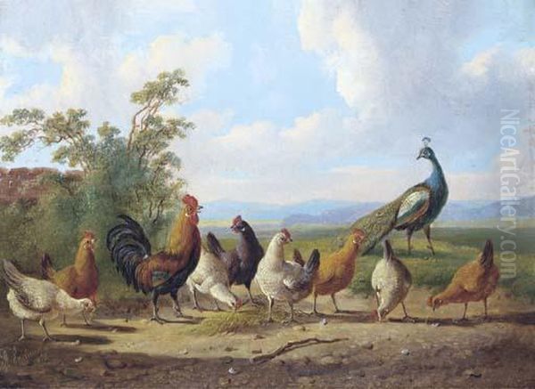 Cheerful Chickens Oil Painting by Albertus Verhoesen