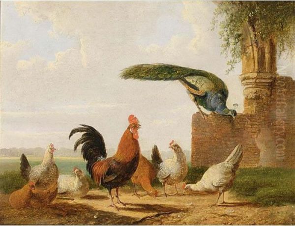 The Poultry Yard Oil Painting by Albertus Verhoesen