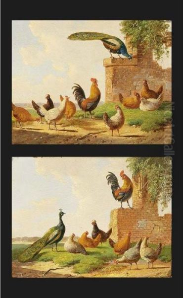 Poultry In A Yard (a Pair) Oil Painting by Albertus Verhoesen