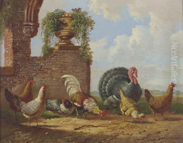 A Turkey And Other Fowl In A Garden Oil Painting by Albertus Verhoesen