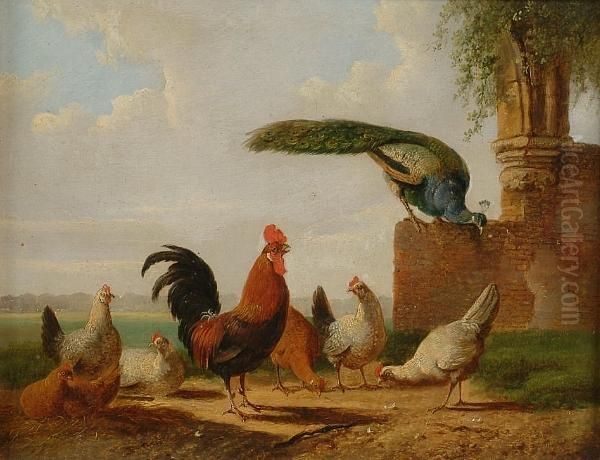 A Cock, Hens And A Peacock Beside A Ruin Oil Painting by Albertus Verhoesen