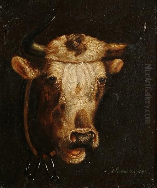 Study Of A Cow's Head Oil Painting by Albertus Verhoesen