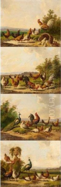 Landscapes With Peacocks And Chickens Oil Painting by Albertus Verhoesen