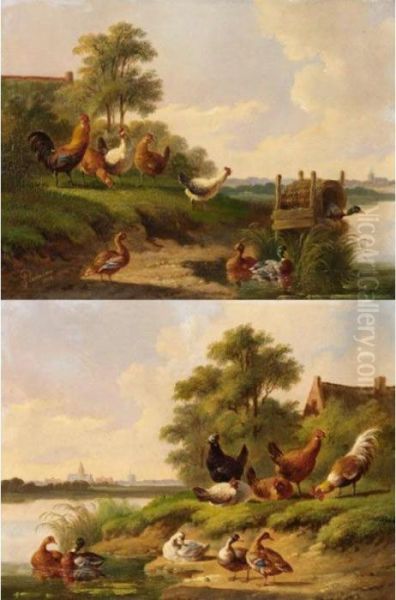 River Landscapes With Chickens And Ducks Oil Painting by Albertus Verhoesen