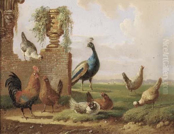 Poultry And A Peacock By A Ruin Oil Painting by Albertus Verhoesen