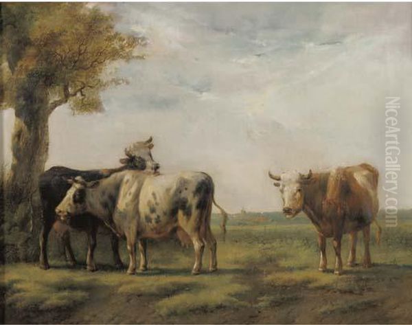 Cattle In A Sunlit Landscape Oil Painting by Albertus Verhoesen