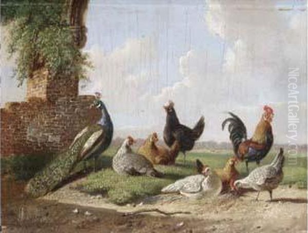 Poultry Near A Ruin Oil Painting by Albertus Verhoesen