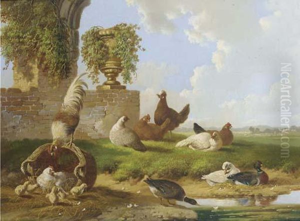 Poultry And Ducks By A Ruin Oil Painting by Albertus Verhoesen