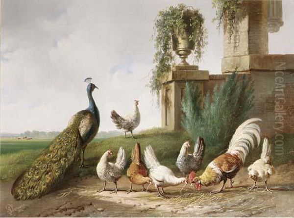 Poultry And A Peacock In A Meadow Oil Painting by Albertus Verhoesen