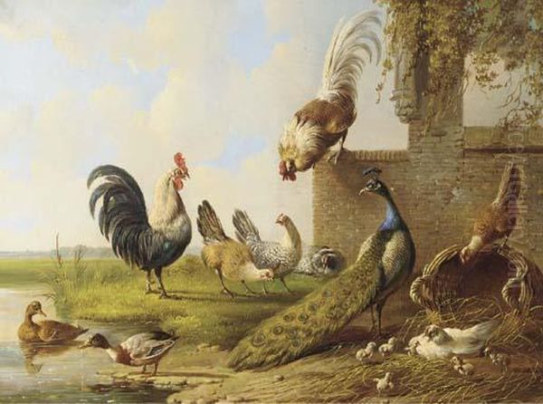 Poultry And A Peacock By A Ruin Oil Painting by Albertus Verhoesen