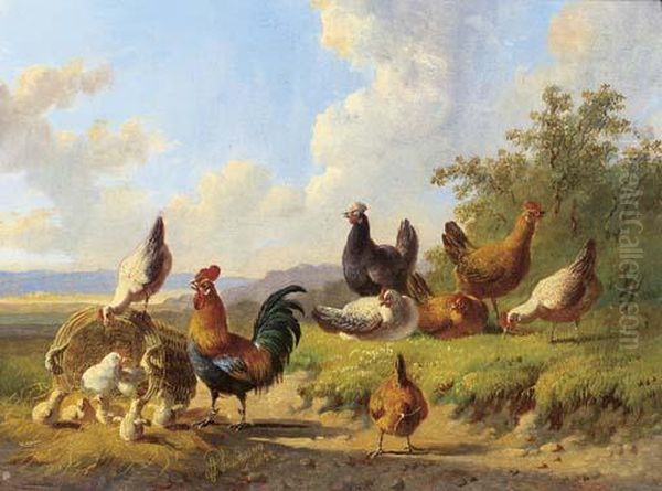 Poultry In A Meadow Oil Painting by Albertus Verhoesen