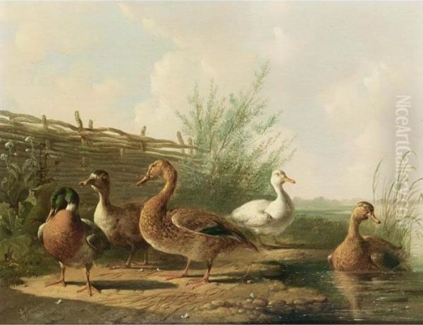 Ducks In A Landscape Oil Painting by Albertus Verhoesen