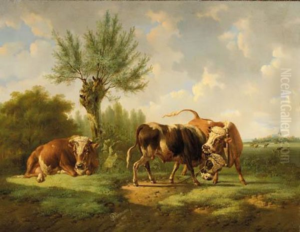 Bulls Fighting Oil Painting by Albertus Verhoesen