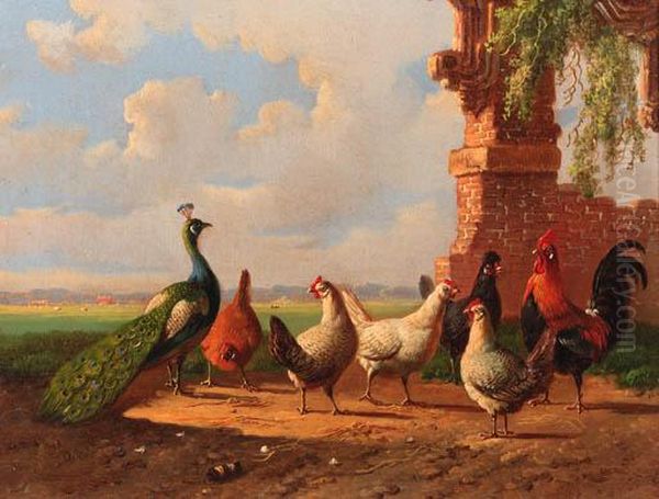 Poultry By Ruined Walls Oil Painting by Albertus Verhoesen