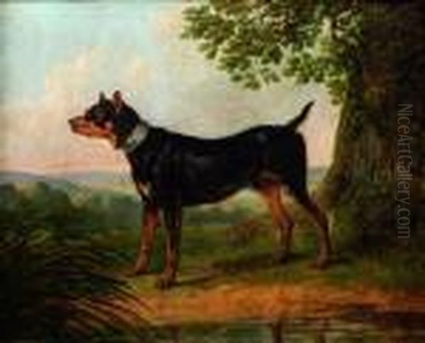 Portrait D'un Chien De Venerie Oil Painting by Carle Vernet