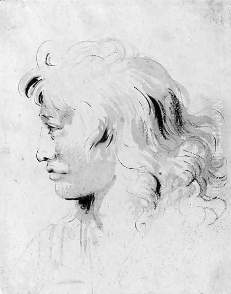 The head of a youth, in profile to the left Oil Painting by Giovanni Battista Tiepolo