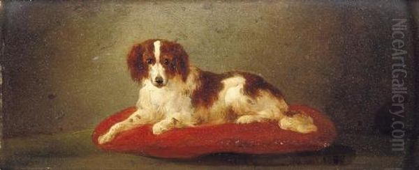 An English Setter Oil Painting by Wouterus Verschuur