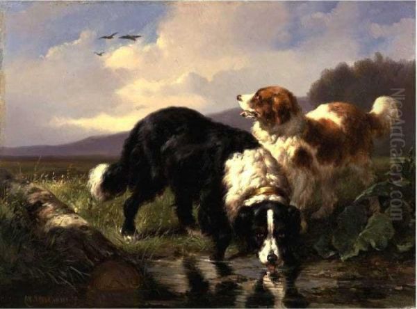 Landseer Newfoundland Dogs Taking A Drink Oil Painting by Wouterus Verschuur