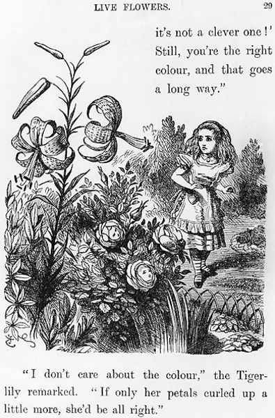 Tiger Lily, from Through the Looking Glass by Lewis Carroll 1832-98 Oil Painting by John Tenniel